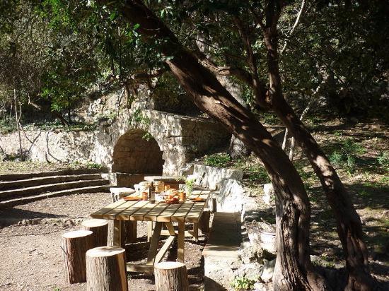 Finca Son Mas
