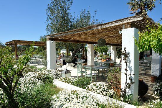 Aubergine Ibiza