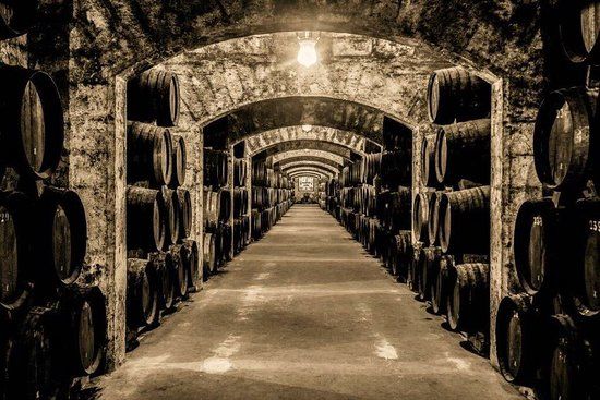 Bodegas Suau