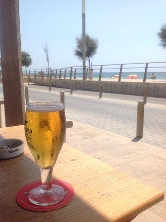 Bar Xorri