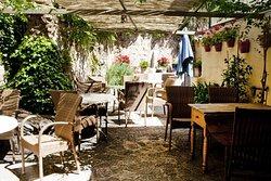 Aromas