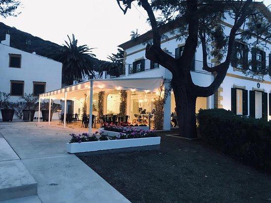 Hort Sant Patrici
