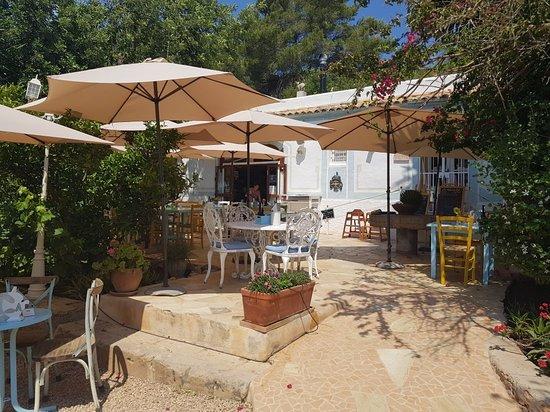 La Paloma