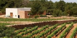Bodega Terramoll