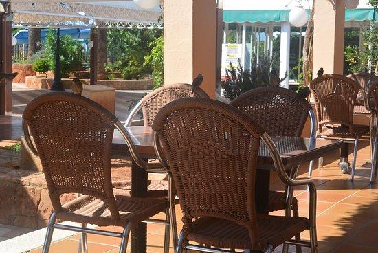 Club San Jaime