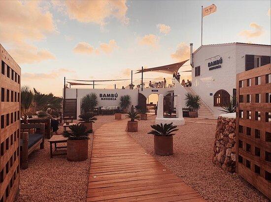 Bambu Menorca
