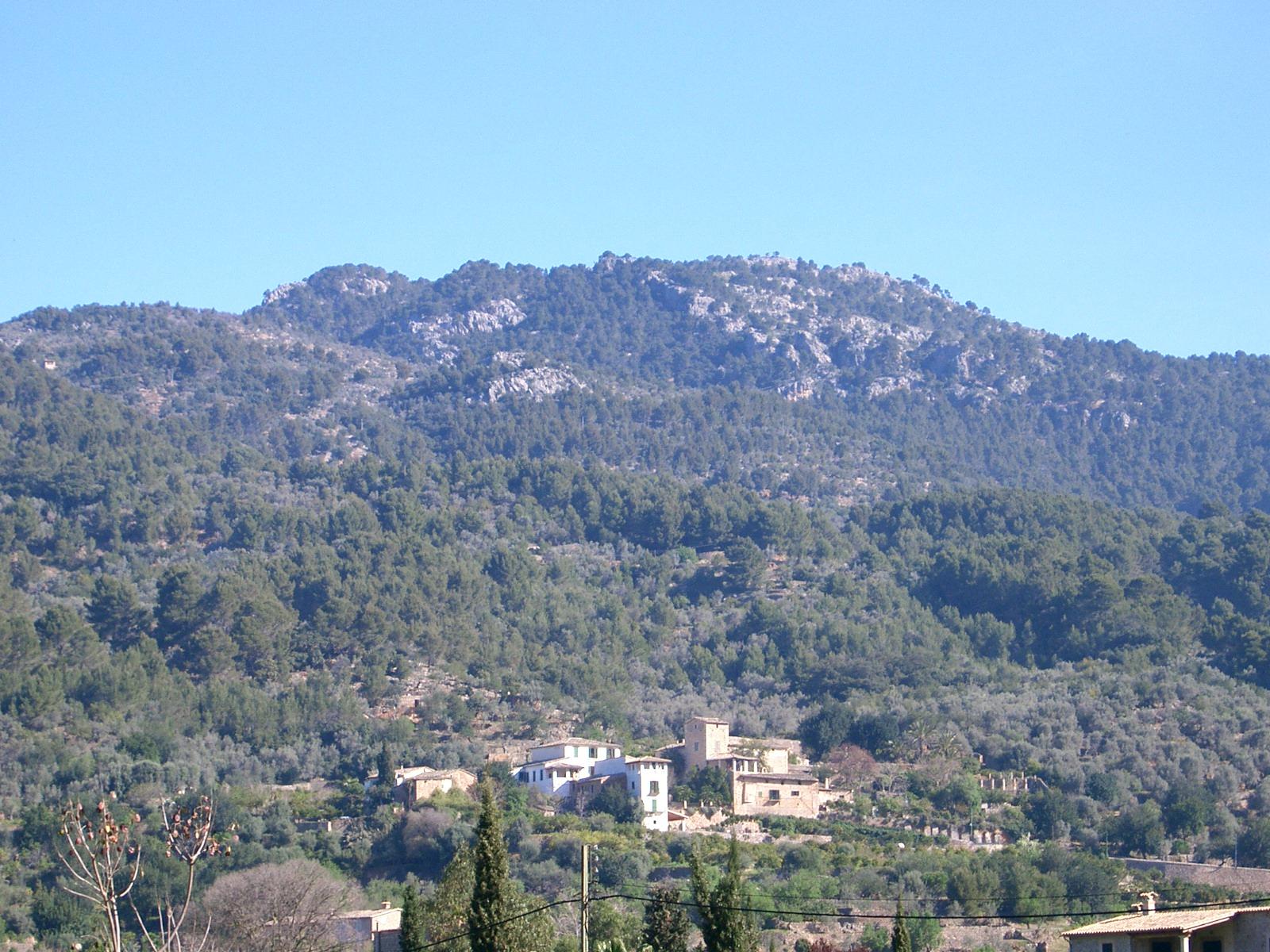 el Binibassi