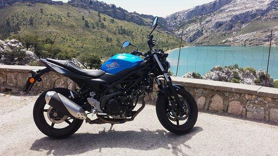 Most Wanted Motorcycles
