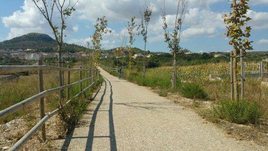 Via Verde Manacor-Arta