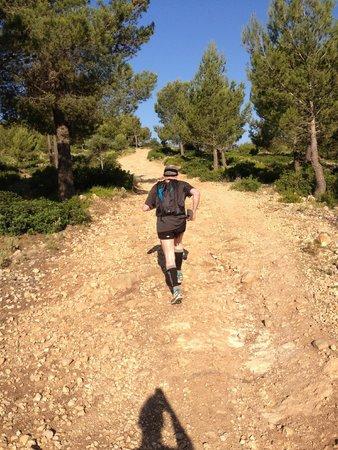 Mallorca Running Tours