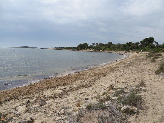 Playa Es Dofí
