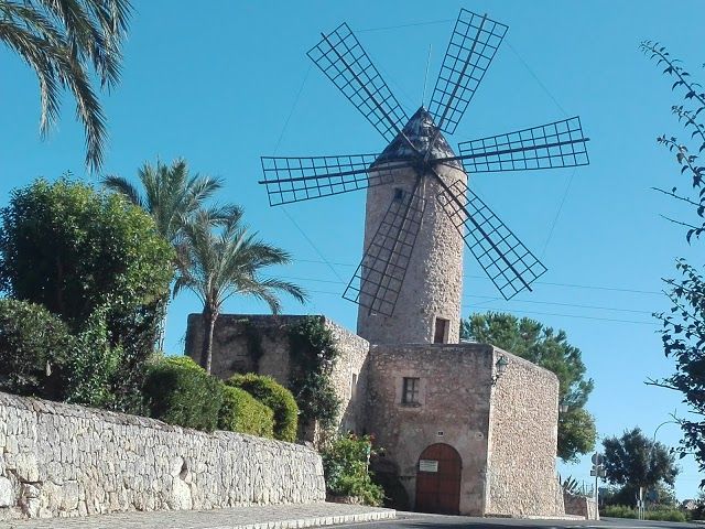 Sineu