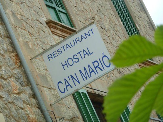 C'an Mario