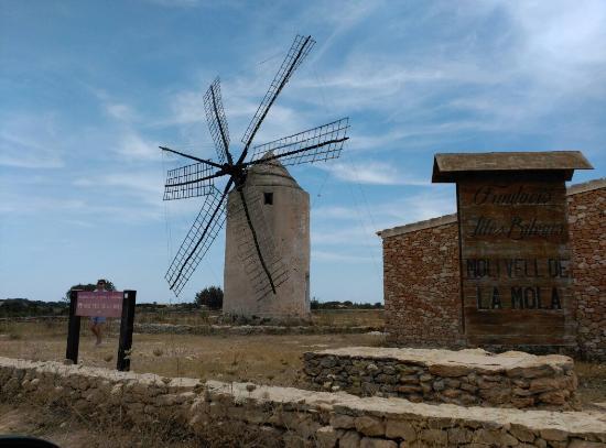 Molino de La Mola